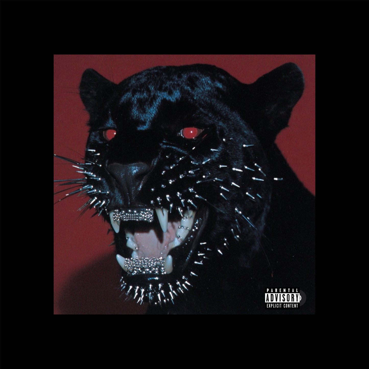 $avydotNet - Rock Album — Digital Download (WAV)